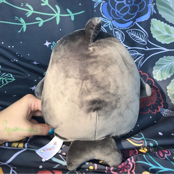 NWT Squishmallow Kai the Orca! - Picture 4 of 8